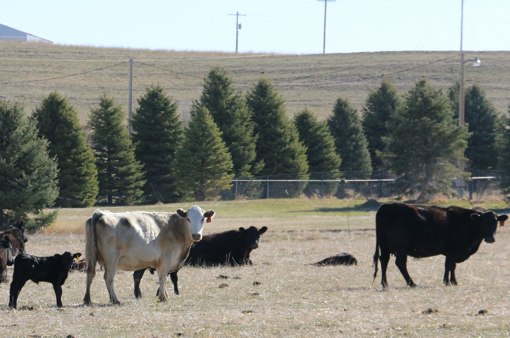 PHOTOS: Backroads